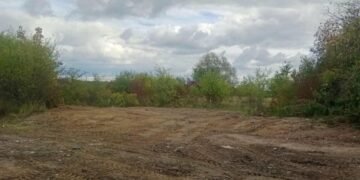 Біля Ставчан прибрали несанкціоноване звалище відходів