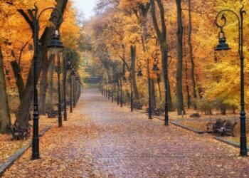 Що зміниться для українців у жовтні: нові виплати, тарифи, субсидії та прави