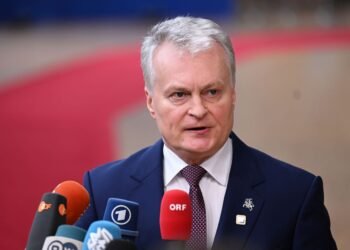 Дрони РФ залітають у Європу не випадково? Науседа назвав можливу мету