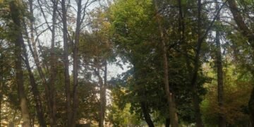 Парк Івана Франка у Львові: 10 цікавих фактів про одне з найстаріших зелених місць міста, – ФОТО