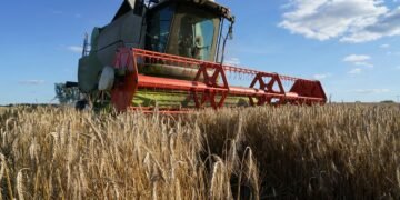 Кабмін дає аграріям пів року на розрахунки за контрактами через блокування портів