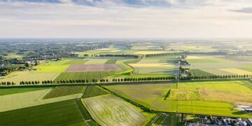 На Львівщині виставили на продаж земельну ділянку площею понад 15 гектарів