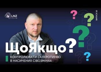 Склеротинія здатна знищити до 80% урожаю: як захистити посіви