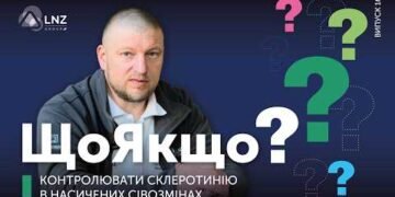 Склеротинія здатна знищити до 80% урожаю: як захистити посіви
