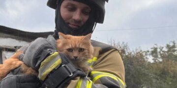 Кількість загиблих після авіаудару рф у Запоріжжі зросла до 20 людей – з-під завалів дістали кота