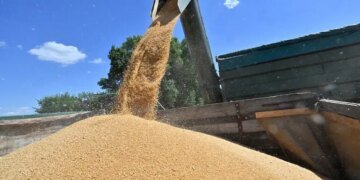 В Одесі посадовців підприємства підозрюють у допомозі рф із продажем викраденого українського зерна