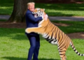 Обіймається з тигром: Трамп потрапив у скандал через ШІ-відео після трагедії у Британії