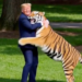 Обіймається з тигром: Трамп потрапив у скандал через ШІ-відео після трагедії у Британії