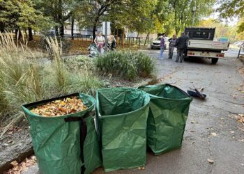 Замість смітника – на компост: куди у Львові подіти опале листя