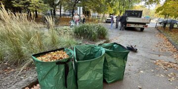 Замість смітника – на компост: куди у Львові подіти опале листя