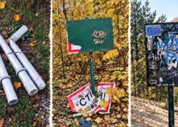У львівському парку «Знесіння» знову зафіксували вандалізм