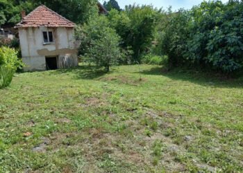 На березі Дунаю продають будинок всього за 10 тисяч євро: у чому підступ (фото)