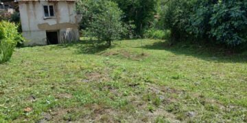 На березі Дунаю продають будинок всього за 10 тисяч євро: у чому підступ (фото)
