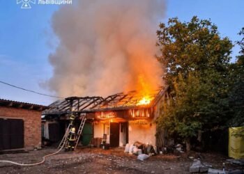 На Львівщині пожежа охопила дах господарської будівлі: вдалося врятувати свійських тварин і гараж, – ФОТО