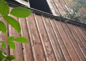 Виштовхнула знайомого з горища й залишила помирати: на Львівщині судитимуть жінку