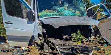 УЧХ надав першу допомогу постраждалим у ДТП на трасі Київ – Одеса
