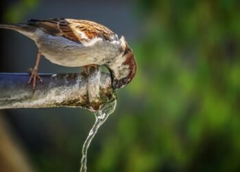 Киян закликають підготувати запаси води та зарядити павербанки через зростання обстрілів енергосистеми