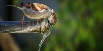 Киян закликають підготувати запаси води та зарядити павербанки через зростання обстрілів енергосистеми