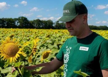 “Кернел” у I кв.-2027ФР збільшив переробку олійних на 1%, скоротив продаж олії на 48% та експорт зернових на 54%