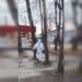Смерть від чуми в Іркутську: у РФ опублікували фальшиву заяву ВООЗ про те, що все гаразд