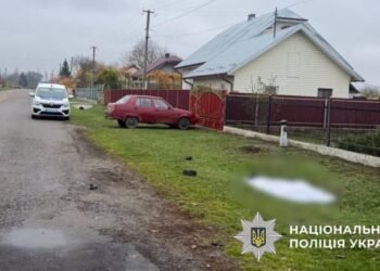 На Львівщині п’яний водій збив 80-річну жінку та втік з місця ДТП
