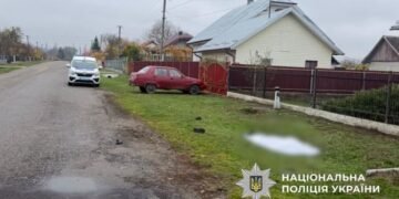 На Львівщині п’яний водій збив 80-річну жінку та втік з місця ДТП
