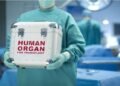 У Львові 58-річному чоловікові пересадили серце від посмертного донора
