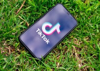 Петиція до Кабміну про заборону TikTok в Україні набрала лише 289 голосів