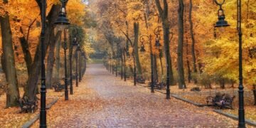 Жовтень здивував теплом: у Львові зафіксували новий температурний рекорд